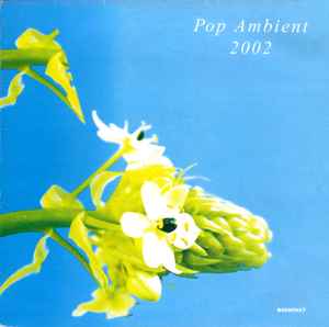 Pop Ambient 2002 - Various