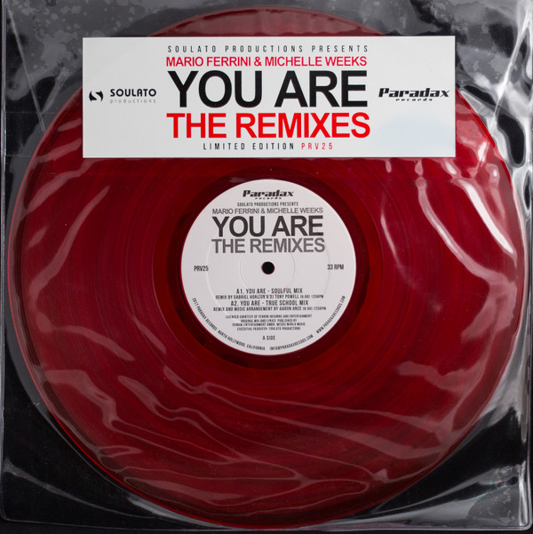 last ned album Mario Ferrini & Michelle Weeks - You Are The Remixes