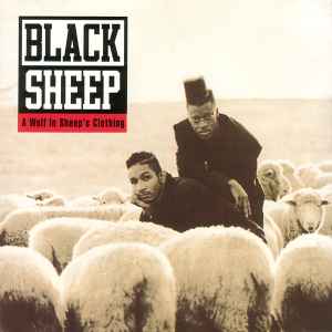 A Wolf In Sheep's Clothing - Black Sheep