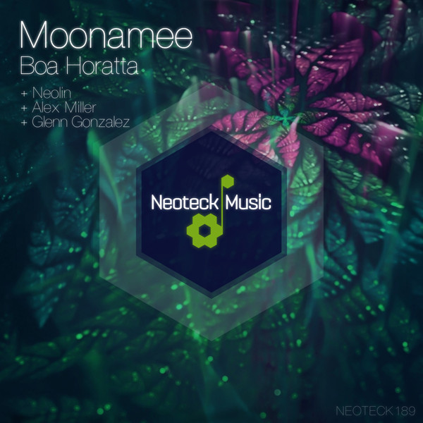 descargar álbum Moonamee - Boa Horatta