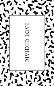 Daniel Avery - Divided Love album cover