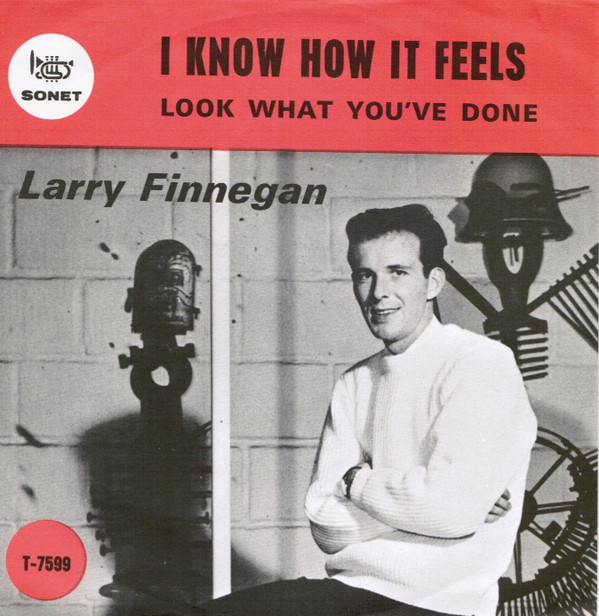 descargar álbum Larry Finnegan - I Know How It Feels