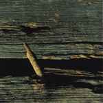 Cover of 13: Netherregions, 1998-01-27, CD