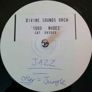 Divine Sounds Orchestra – 1000 Nudes (Stickered, Vinyl) - Discogs