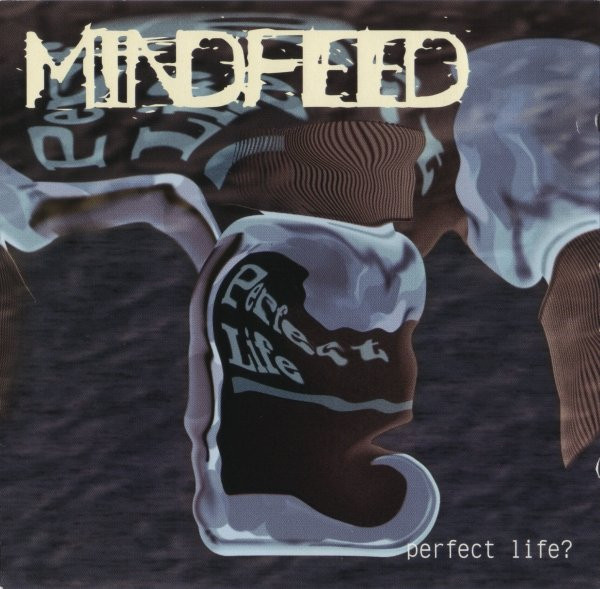descargar álbum Mindfeed - Perfect Life