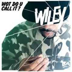 Wot Do U Call It ? - Wiley