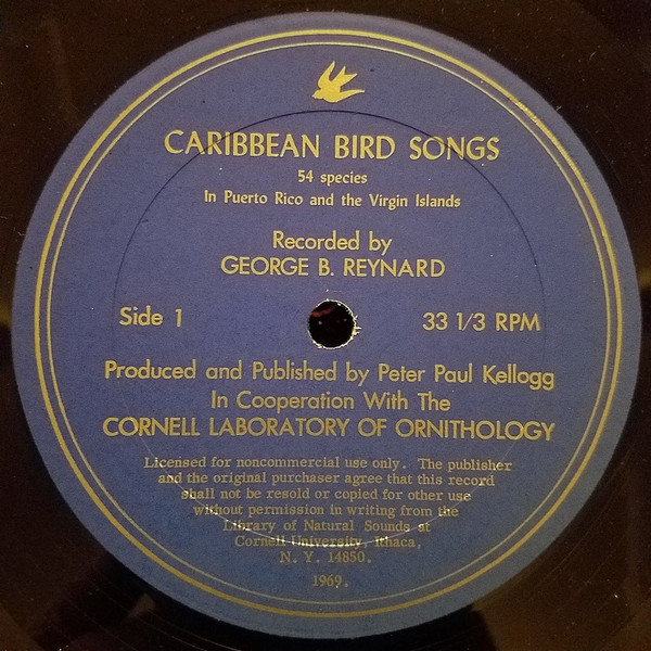 baixar álbum No Artist - Caribbean Bird Songs 54 Species In Puerto Rico And The Virgin Islands
