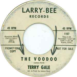 Terry Gale - The Voodoo album cover