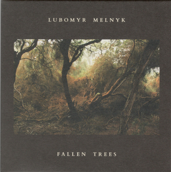 Fallen Trees 
