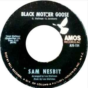 Sam Nesbit - Black Mother Goose / Chase Those Clouds Away album cover
