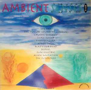 Ambient Senses - The Vision - Various