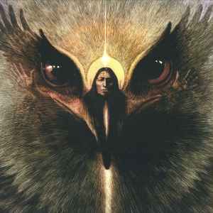 Morrison Kincannon - To See One Eagle Fly album cover