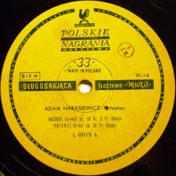 last ned album Adam Harasiewicz, Fr Chopin - Adam Harasiewicz