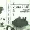 Cybe - Cybonesië - Tropische Klankbeelden