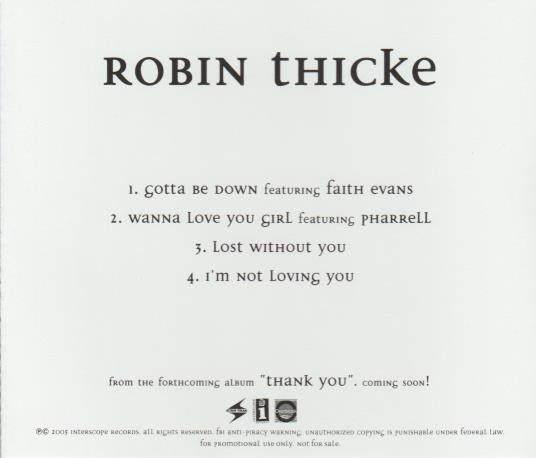 Robin Thicke – The Evolution Of Robin Thicke (2006, Vinyl) - Discogs