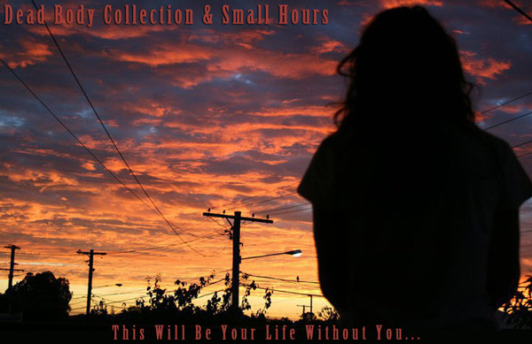 Album herunterladen Dead Body Collection & Small Hours - This Will Be Your Life Without You