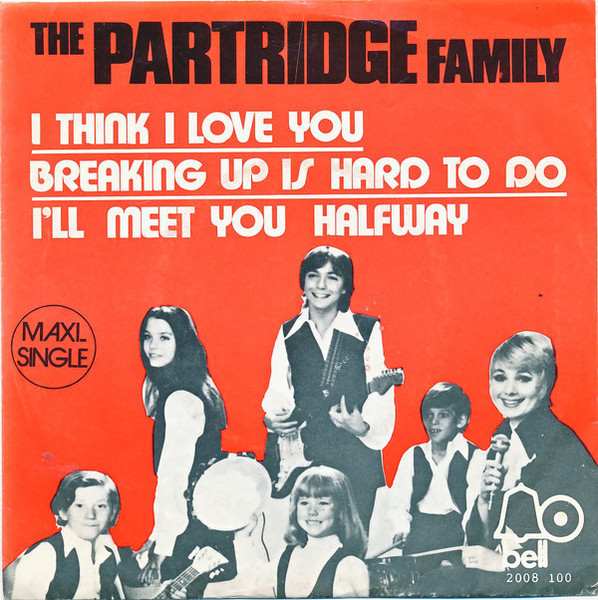 The Partridge Family – I Think I Love You (1972, Vinyl) - Discogs