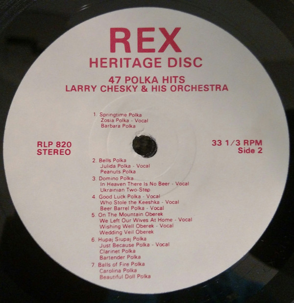 descargar álbum Larry Chesky And His Orchestra - 47 Polka Hits