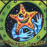 descargar álbum Watercress - Bummer