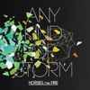 Horses On Fire - Any Kind Of Storm