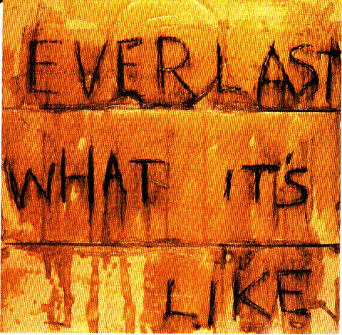 Everlast – What It's Like (1998, CD) - Discogs