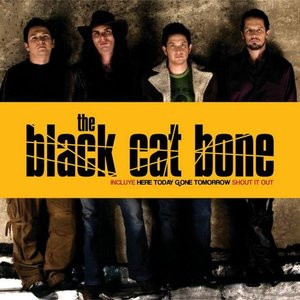 TBCB – The Black Cat Bone (2005, CD) - Discogs