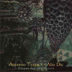 Antonio Testa - Prayer For The Forest album cover