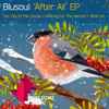 Blusoul - After All EP