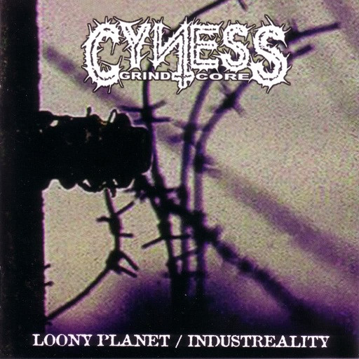 last ned album Cyness - Loony Planet Industreality