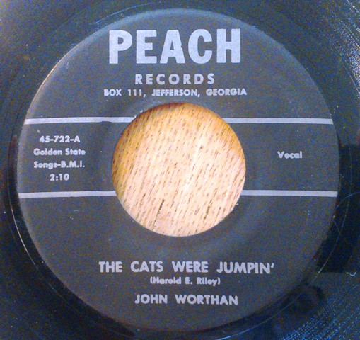 ladda ner album John Worthan - The Cats Were Jumpin