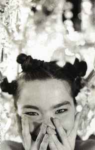 Björk – Big Time Sensuality (1993 - ロック、ポップス（洋楽）