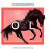 Olav Larsen & The Alabama Rodeo Stars - 9 Uplifting Songs & A (Happy) Sad Song