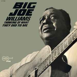 Big Joe Williams - Thinking Of What They Did To Me