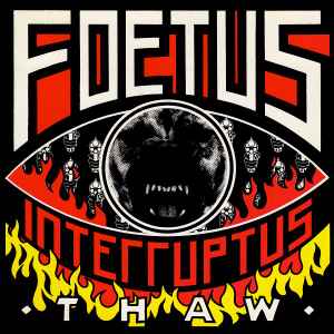 Foetus - Thaw album cover