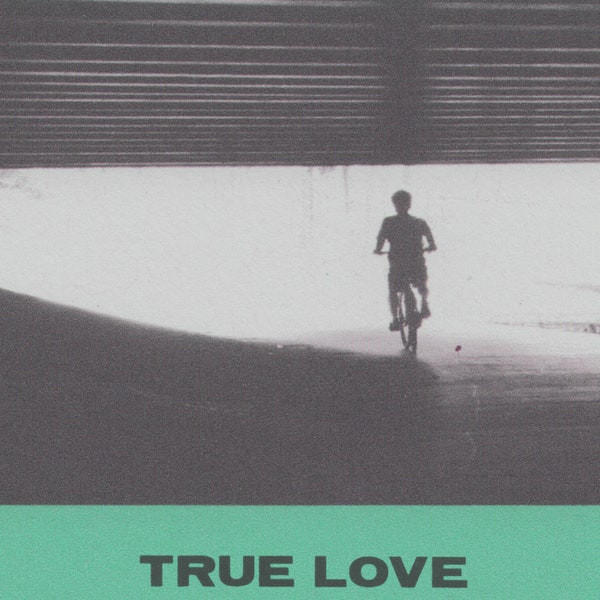 Hovvdy – True Love (2021, Vinyl) - Discogs