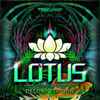 DJ Lurfilur - Lotus