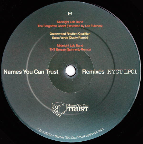 descargar álbum Download Various - Names You Can Trust Remixes album