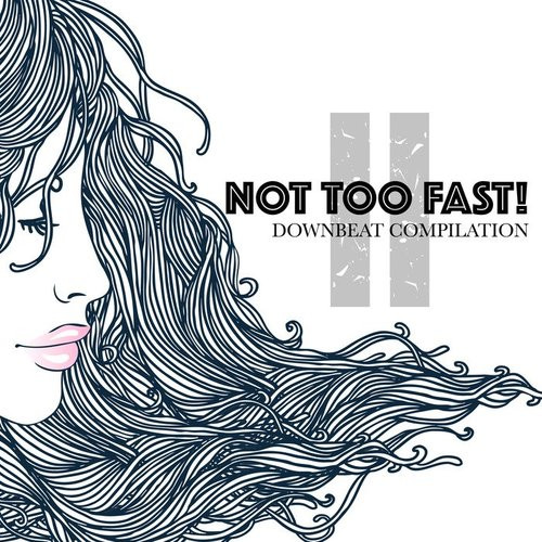 lataa albumi Various - Not Too Fast II Downbeat Compilation