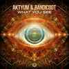Aktyum & Bandicoot (5) - What You See