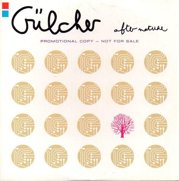 ladda ner album Gülcher - After Nature
