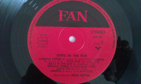 Album herunterladen Orchester Heinz Hötter - Birds In The Sun