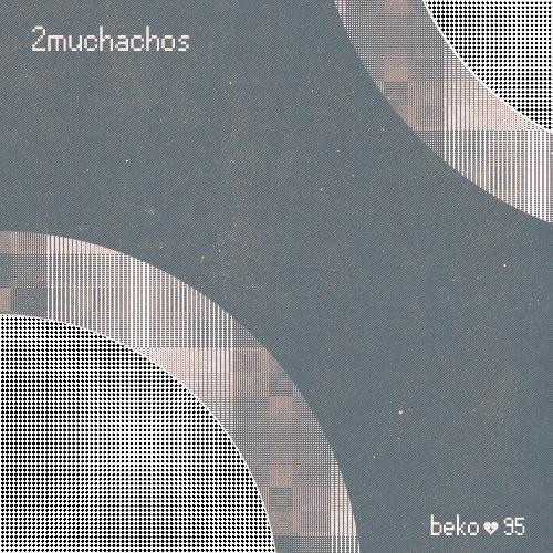 télécharger l'album 2muchachos - Im Not Afraid Of Cold Air