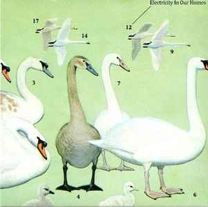 We Thought It Was But It Wasn't / After Many A Summer Dies The Swan - Electricity In Our Homes