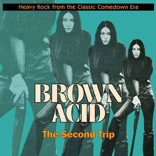 Various – Brown Acid: The Second Trip (Heavy Rock From The Classic Comedown Era)