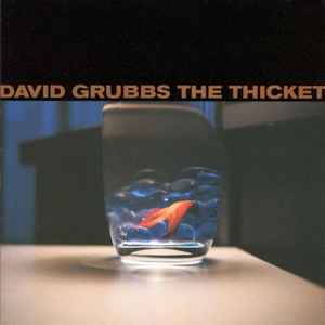 The Thicket - David Grubbs