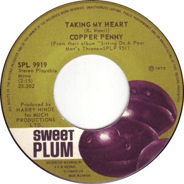 ladda ner album Copper Penny - Rock N Roll Boogie Woogie And Wine