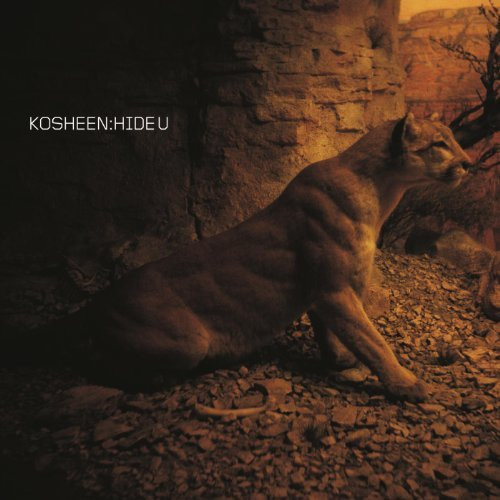 Album herunterladen Kosheen - Hide U ES Dubs Vocal Mix