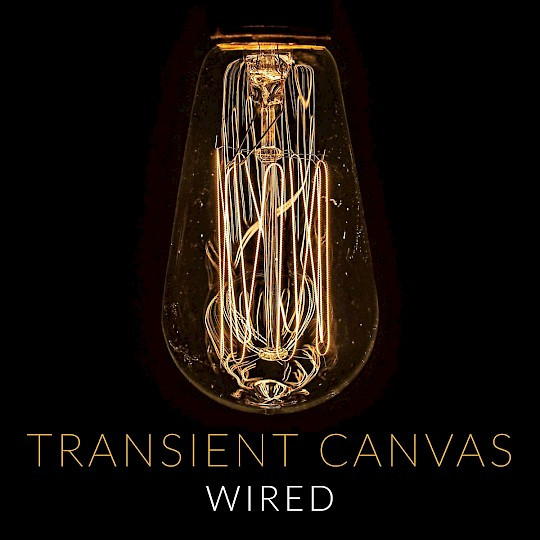 ladda ner album Transient Canvas - Wired