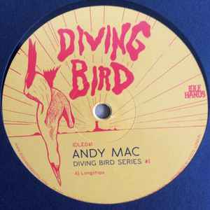 Diving Bird Series #1 - Andy Mac