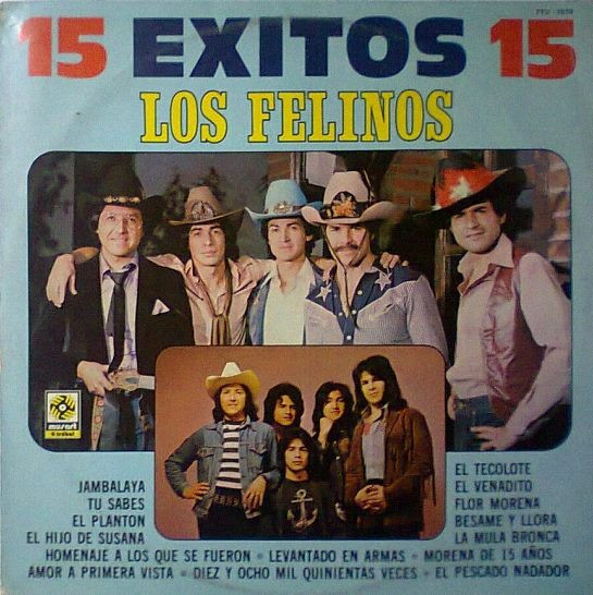 ladda ner album Los Felinos - 15 Exitos